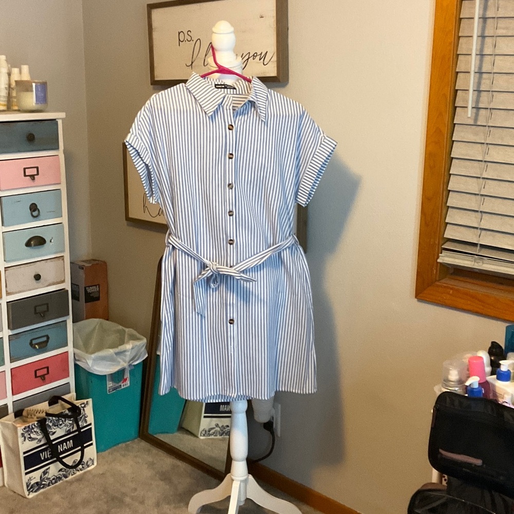 Blue and White Striped Button-Down Dress